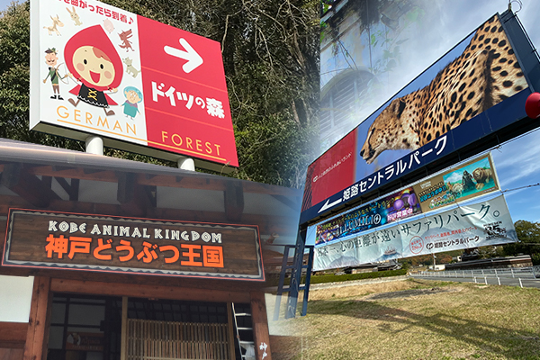 サンプルイメージ